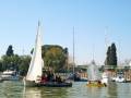 Barcos navegando en un puerto tranquilo con árboles y edificios al fondo.