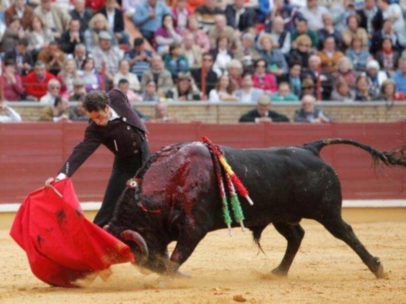 Festival contra el cáncer en Córdoba 