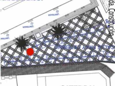 Libélula Lila en el Hecho en Sevilla IV, junto a la Catedral&#8207;