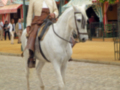Un hombre vestido con un traje tradicional monta a caballo en una feria. El caballo es blanco y lleva un arnés de color marrón. La feria tiene estandartes rojos y blancos, con un cielo claro en el fondo.