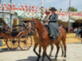 Una imagen de un hombre montando a un caballo en una feria, con carros y stands al fondo.