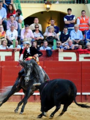 Un torero montado en un caballo negro corre hacia un toro negro en una plaza de toros. La audiencia observa el espectáculo desde los asientos alrededor del ruedo.