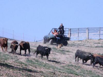 Jesulín de Ubrique y Campanario visitados por los Morancos en Ambiciones