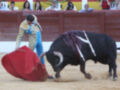 Un torero en traje tradicional de color amarillo y azul se enfrenta a un toro negro en una plaza de toros. El torero está inclinado hacia adelante, con su capote en movimiento, mientras el toro se mueve activamente. La escena está rodeada por espectadores y una pared de madera en el fondo.