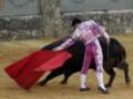 Un torero con un traje tradicional de color morado y blanco, usando una capa roja para desafiar a un toro negro en la plaza de toros.