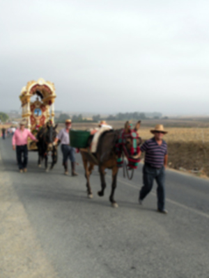 Provincia.La alegria y devoción de una Aldea en la Romeria de San Ignacio de Loyola