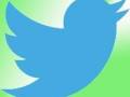 Logotipo azul de Twitter sobre fondo verde claro.