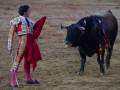 Un torero en traje tradicional enfrenta a un toro negro, ambos en una plaza de toros.