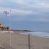 Playas retira las banderas tras comprobar que no hay  presencia de medusas(Chipiona)