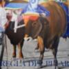 Fiestas inicia una campaña informativa sobre las medidas de seguridad de la Romería del Pinar(Chipiona)