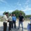 Junta y Ayuntamiento estudian la plantación en el acceso a Las tres piedras de las palmeras retiradas del Paseo Costa de la Luz(Chipiona) 