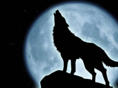 BAILANDO CON LOBOS