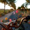 Entregados los premios del primer concurso fotográfico sobre la Vía Verde de Chipiona