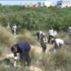 Eriphia convoca al voluntariado medioambiental para una nueva edición de control de la flora invasora de Camarón 