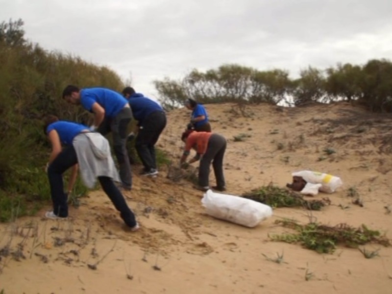 Eriphia vuelve a congregar a un buen número de voluntarios en la sexta edición de las Jornadas de eliminación de la flora invasora(Chipiona) 