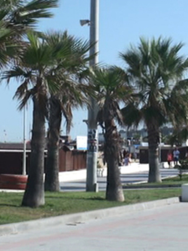 La red de riego de los jardines del Paseo de La Cruz del Mar será renovada en su totalidad(Chipiona)