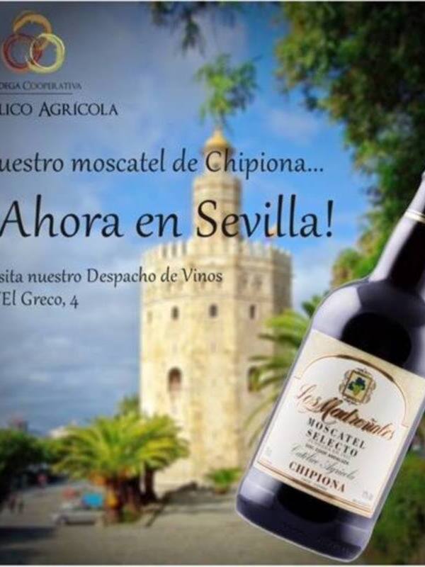 La Bodega Cooperativa Católico Agrícola logra su histórico objetivo de abrir un despacho en Sevilla