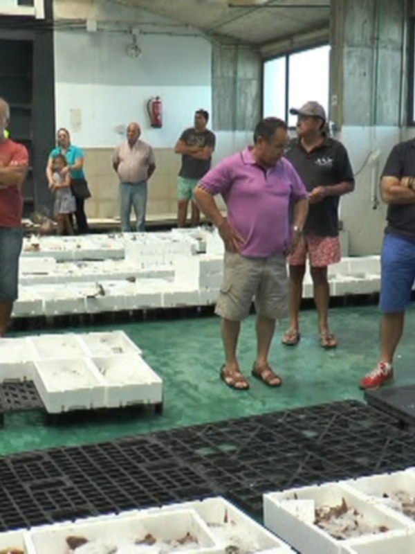 La Organización de Productores Pesqueros Artesanales  explotará  la lonja de Chipiona hasta 2018