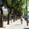 Actuaciones de adecuación funcional y paisajística del Servicio de Parques y Jardines en avenida Eduardo Dato.