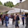 LA FERIA DEL LIBRO SE DESPIDE CON MÚSICA, ACTIVIDADES INFANTILES, EL HOMENAJE A ROSARIO VALPUESTA Y UN RECITAL POR LOS 10 AÑOS DE CANGREJO PISTOLERO EDICIONES