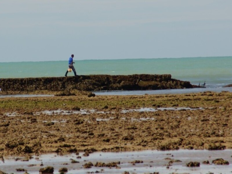 Chipiona será sede de una jornada para la sostenibilidad de la pesca costera y artesanal