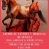 "CABALGANDO ENTRE COSTURAS". Un espectáculo que pretender poner en valor, el nivel de la alta costura en Andalucía y España