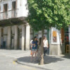 Los turistas buscan la sombra de los árboles en las calles de Sevilla