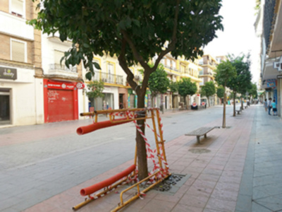 Un árbol en la calle con una valla de seguridad cerca, edificios a ambos lados y un banco en el camino.