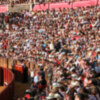 El Congreso de la Asociación Nacional de Clubs Taurinos de EEUU tendrá lugar en Zaragoza