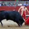 Otro recital de Ponce, que corta cuatro orejas en Navaluenga