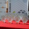 Prueba provincial absoluta en Solo Pádel Sevilla