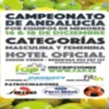 Campeonato de Andalucía por equipos de Menores de pádel