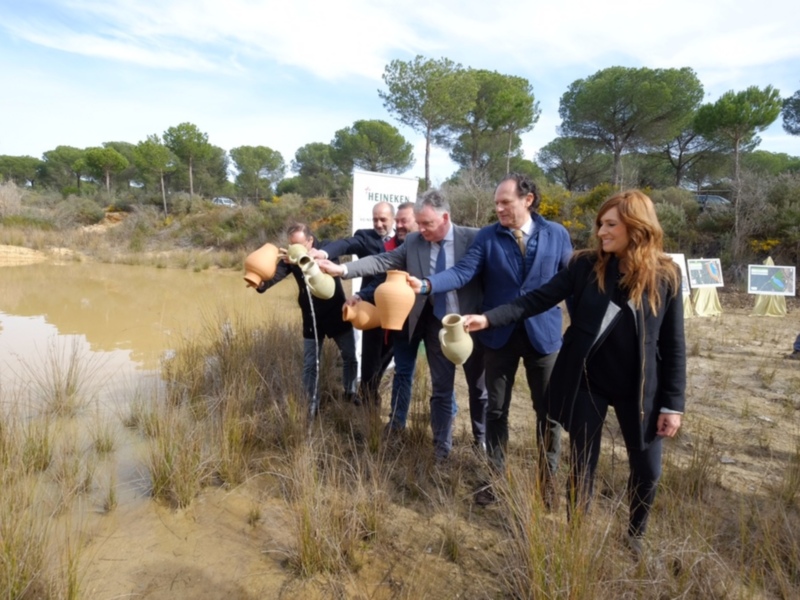 Heineken España y la Junta de Andalucía inician las actuaciones para restaurar humedales en Doñana.