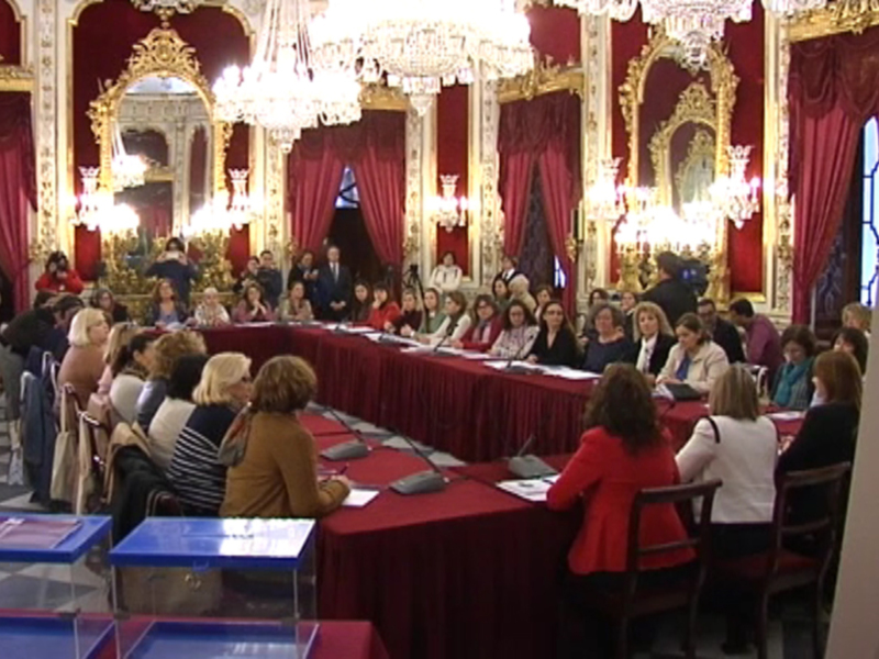 Asefichi se integra en el nuevo Consejo provincial de igualdad