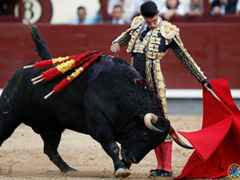Alejandro Talavante, oreja y cornada
