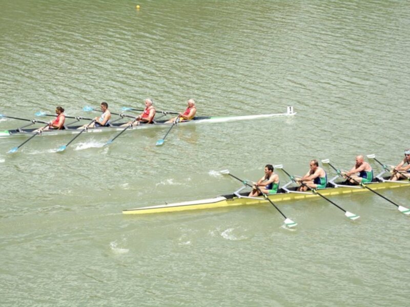 Una imagen de una competencia de remo con cuatro equipos en el agua. Los remos están en acción, y los equipos están formados por dos personas cada uno. La imagen muestra la intensidad de la competencia y el esfuerzo de los remadores.