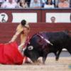 José Carlos Venegas, cogido en el sexto de Cuadri