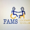 Mesas sobre la accesibilidad en los espacios públicos urbanos organizadas por FAMS-COCEMFE