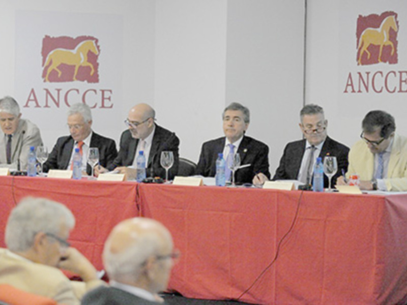 XLV Asamblea General de la Asociación Nacional de Criadores de Caballos Españoles (ANCCE),