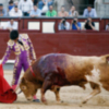Novillada de triunfadores Madrid, 18 de junio de 2017.