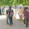 La Municipalización de los Servicios de Parques y Jardines Públicos
