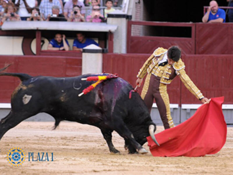Mario Sotos saludó en el primer novillo del tercer festejo del Certamen Internacional de Novilladas Nocturnas