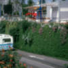 Imágenes inéditas de Expo92