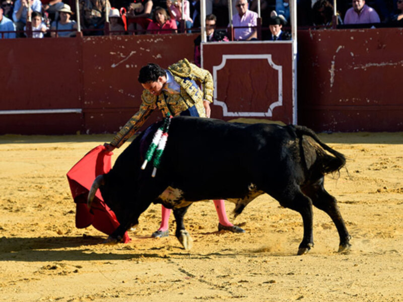 Grandiosa Corrida mixta en la localidad sevillana de Camas.