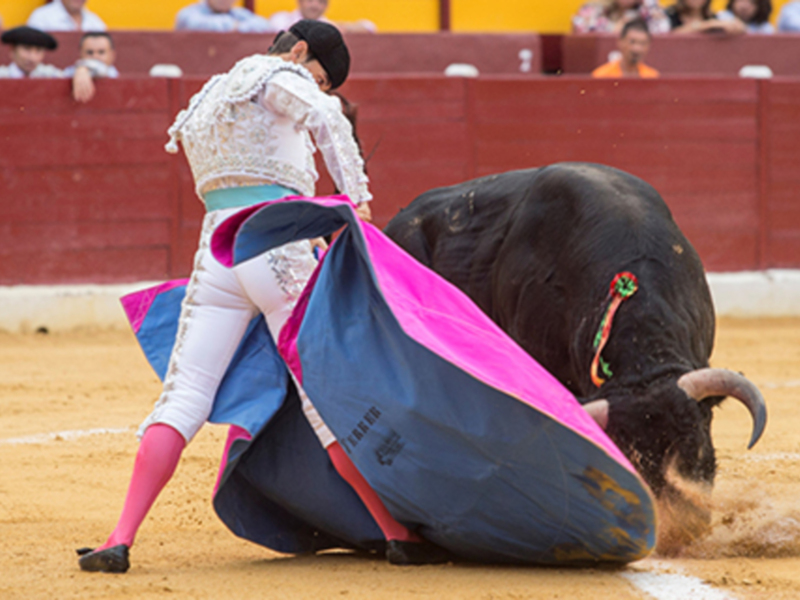 Ramón Serrano corta tres orejas en su debut con picadores en Murcia