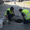 El Ayuntamiento de Chipiona aborda el lunes dos muevas fases de la  segunda campaña anual de desinsectación y desratización