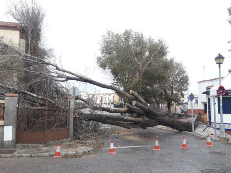 El temporal deja en la localidad árboles caídos y algunos daños materiales, aunque sin demasiada gravedad