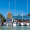 El Club Náutico Sevilla, campeón del Ránking Andaluz de vela