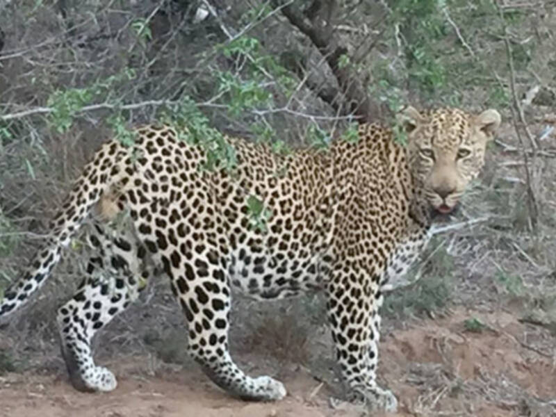 Hoy 3 de marzo de 2018 Día Mundial de la Vida Silvestre