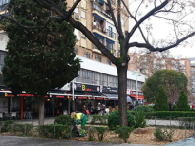 El pasado 1 de Marzo arrancó el nuevo contrato de mantenimiento de parques y jardines con 10 lotes y 8 contratistas.